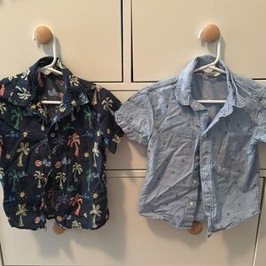 H&M short sleeve toddler button down shirts